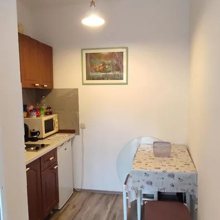 Elena Mare * Novi Vinodolski